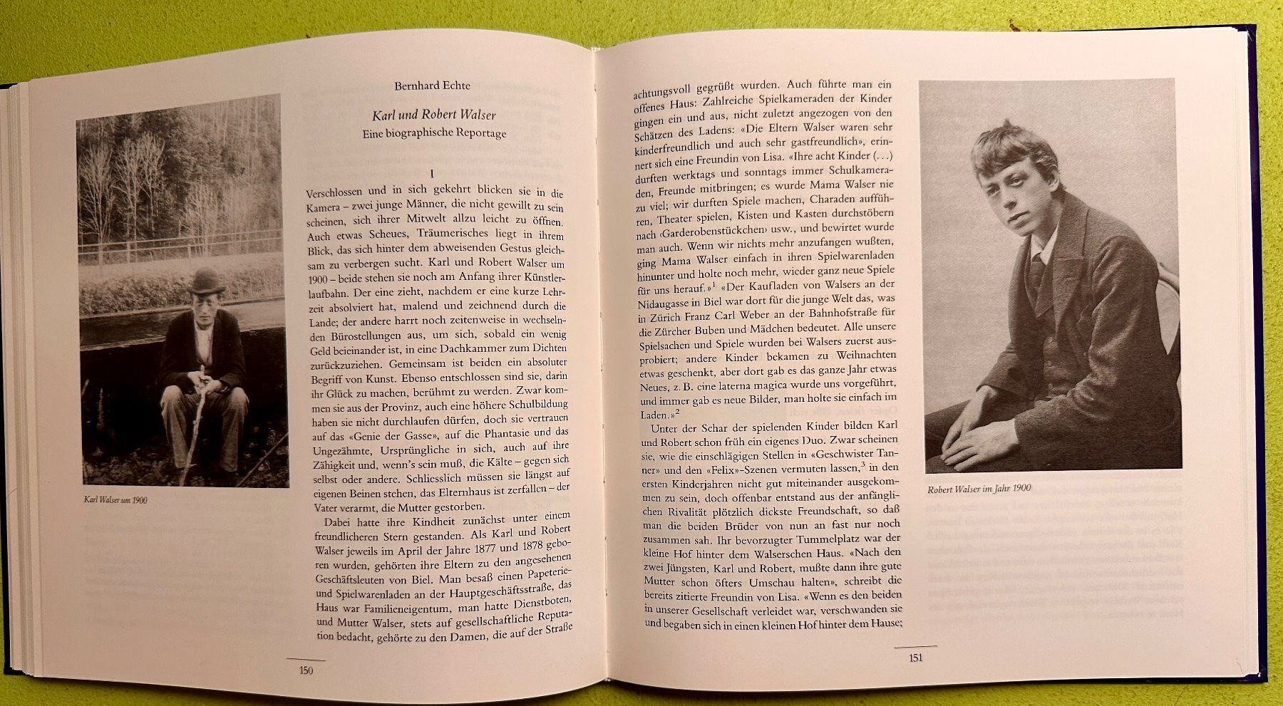 Libri: B. Echte, A. Meier: Die Brüder Karl und Robert Walser – Usato da Zürich venduto da allp 6
