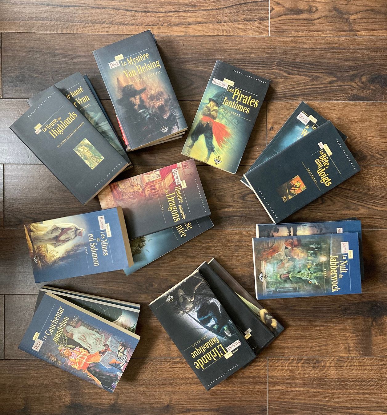 Libri: TERRE DE BRUME ÉDITIONS - 27 titres – Usato da Vandoeuvres venduto da ngc_9qj2