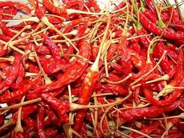 Thai Chili scharf - Capsicum annuum - 40 Samen