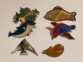 6 Pin Fische