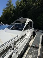 Motorboot Gobbi 23