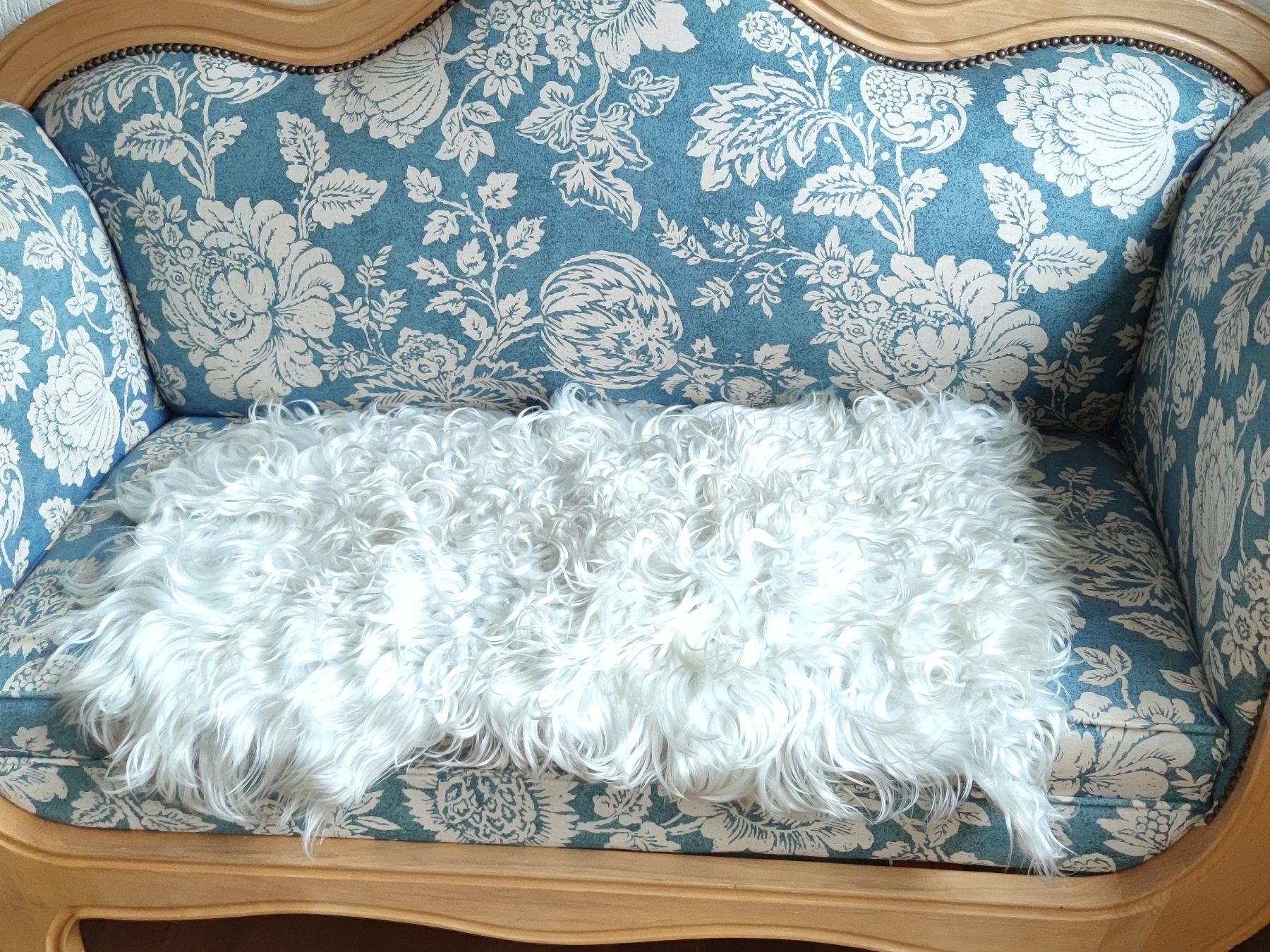 Altro in  Abbigliamento & Accessori: Schaffell, Lammfell – Usato da Thusis venduto da Feldis