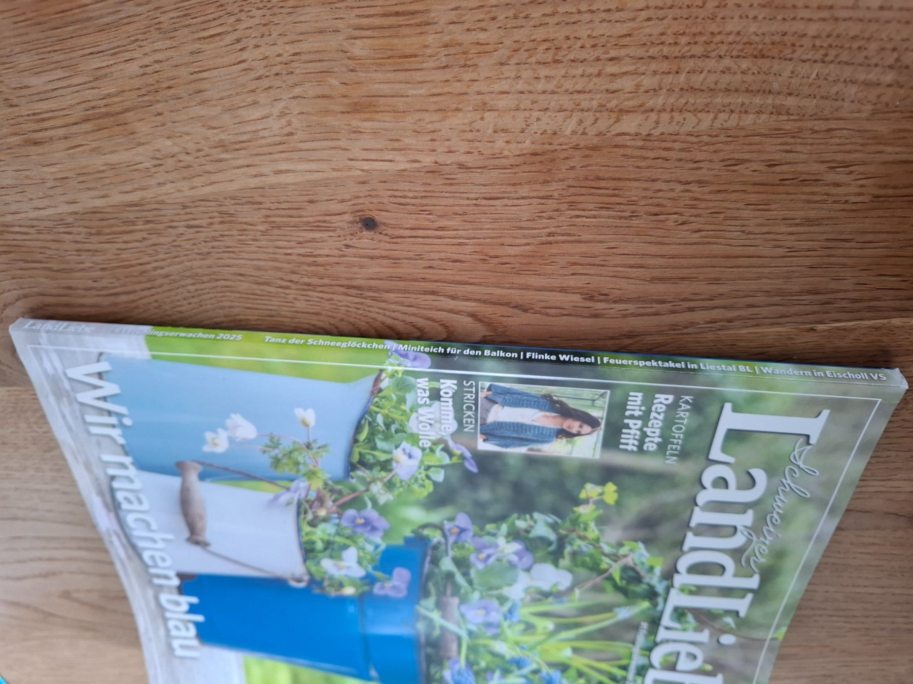 Riviste & Magazine: Schweizer LandLiebe Frühling 2025 - Garten & Rezepte – Nuovo (secondo la descrizione) da Affoltern am Albis venduto da Sabinezc 1