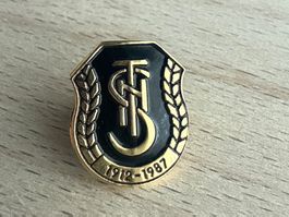 Pin TNS  FC The National Luxembourg