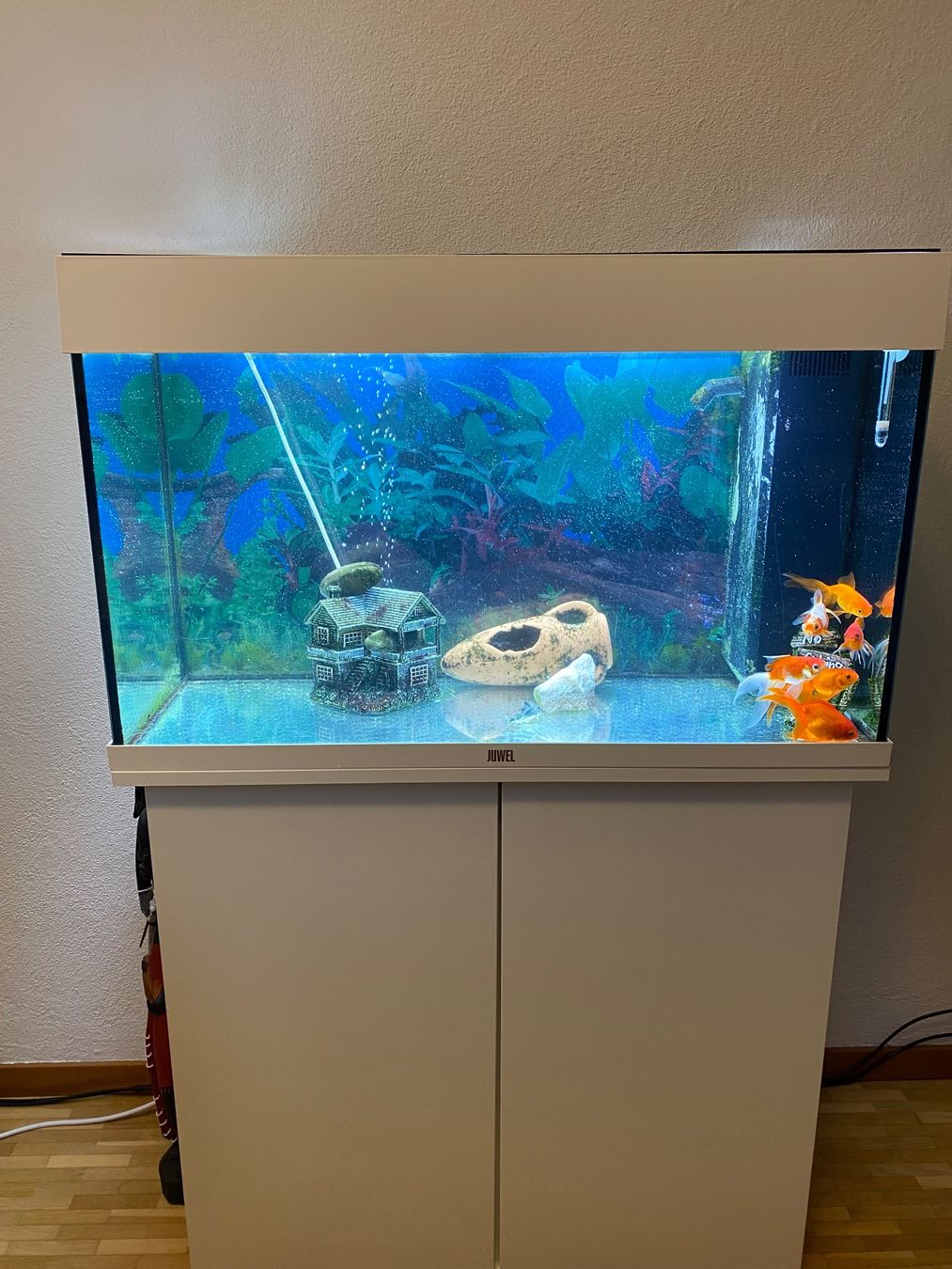 Juwel Acquari: Aquarium fish tank – Usato da Bonstetten venduto da Kai14 1