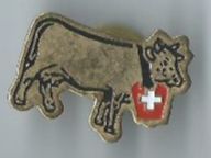 Kuh Pin