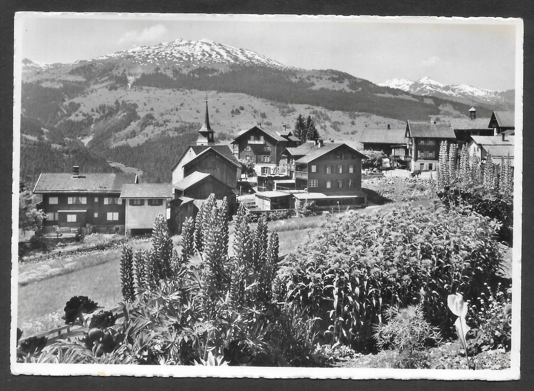 Cartoline postali: Pany Dorfansicht – Usato da Olten venduto da clotaldi