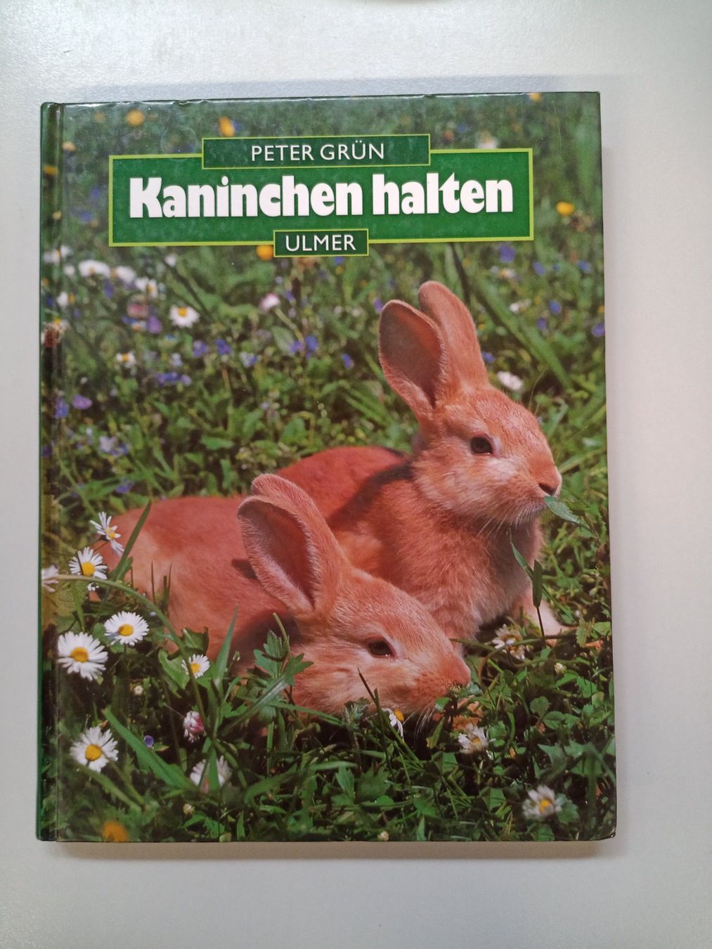 Libri: Peter Grün - Kaninchen halten – Usato da Oberegg venduto da A-Z.Handel.Loehrer