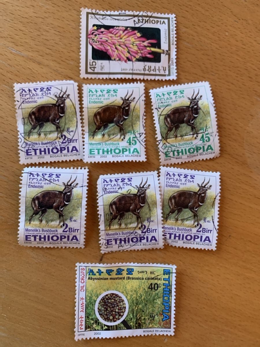 Alle Briefmarken: Briefmarken Sammlung, diverse Länder, Top Zustand! – Gebraucht aus Meilen von Flockenwirbel