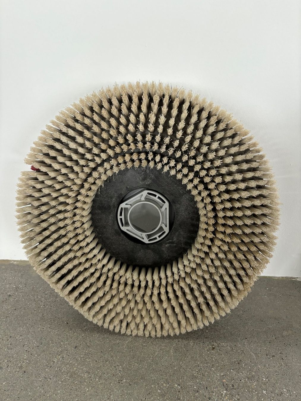 Tutte le macchine: Taski ergodisc 165 Einscheibenmaschine – Usato da Hinwil venduto da fac_688b 4