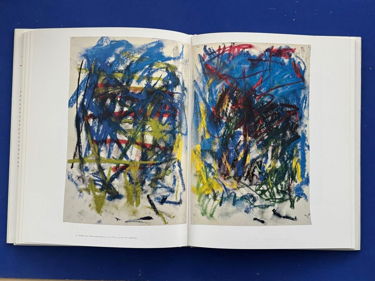 Libri: Joan Mitchell. Works on Paper 1956-1992. Abstract expression – Usato da Adliswil venduto da buch_und_kunst 6
