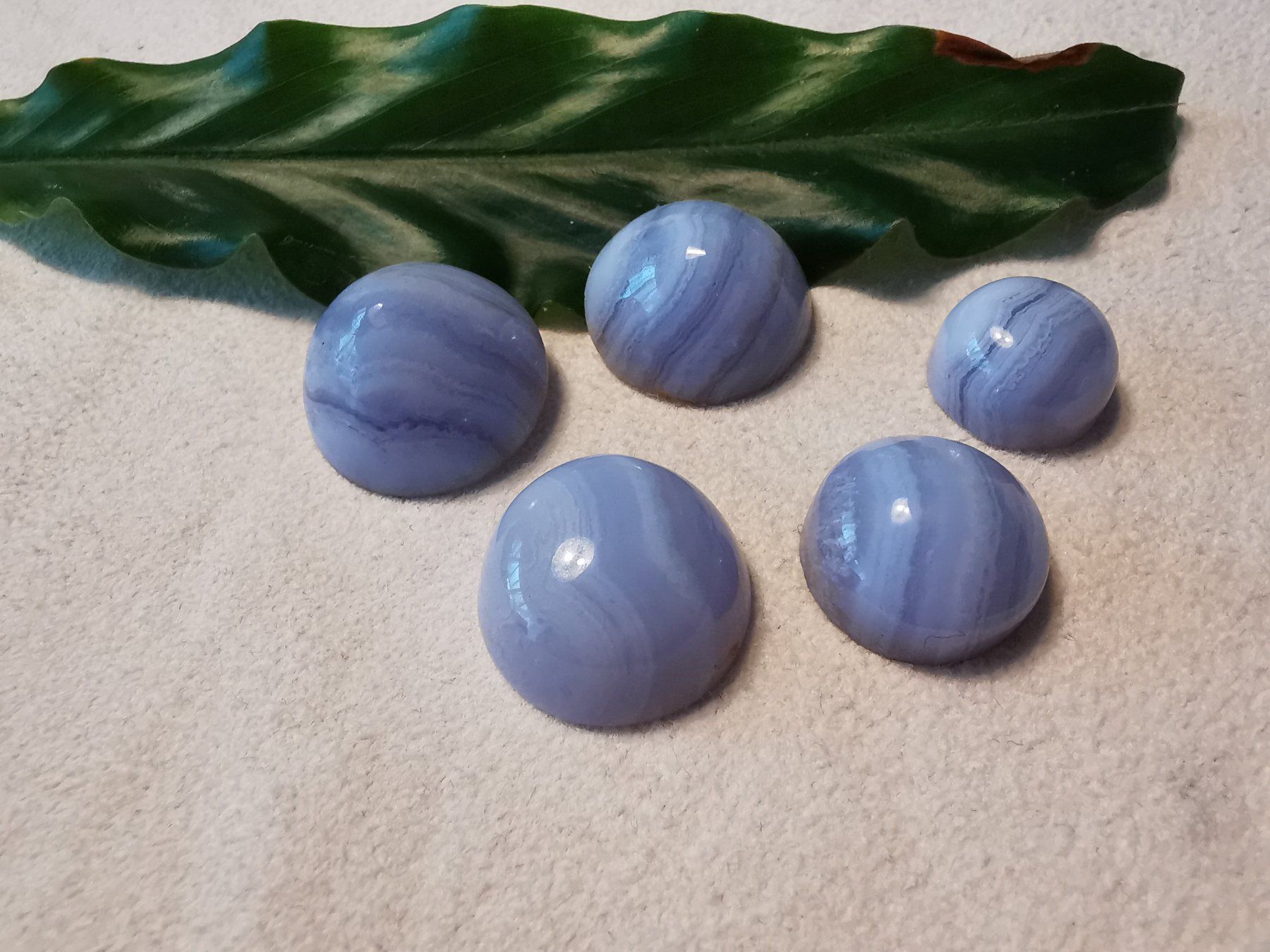 Pietre preziose: 5 Stk. Chalcedon Cabochons – Nuovo e nell'imballaggio originale da Dierikon venduto da Buntspecht-10 1
