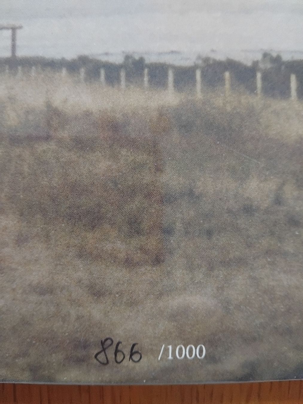 Dischi in vinile: ANGUS STONE - broken brights - limited LP originalverpackt!. – Nuovo e nell'imballaggio originale da Teufen ZH venduto da mileg_77 3
