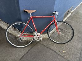 Rennvelo Halbrenner Stadtvelo Allegro