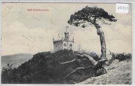 Säli-Schlösschen 1908