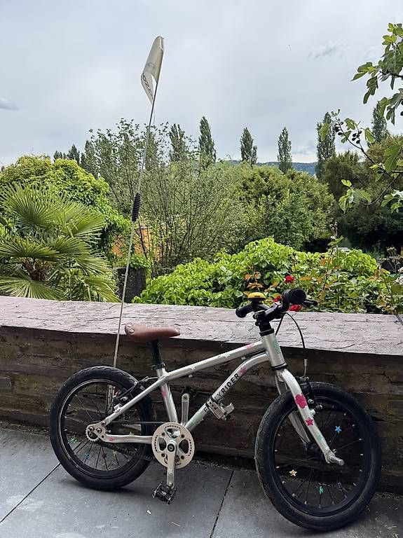 Biciclette: Early Rider 16 Zoll – Usato da Zürich venduto da Jensseits 1