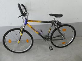 MTB GIANT CADEX