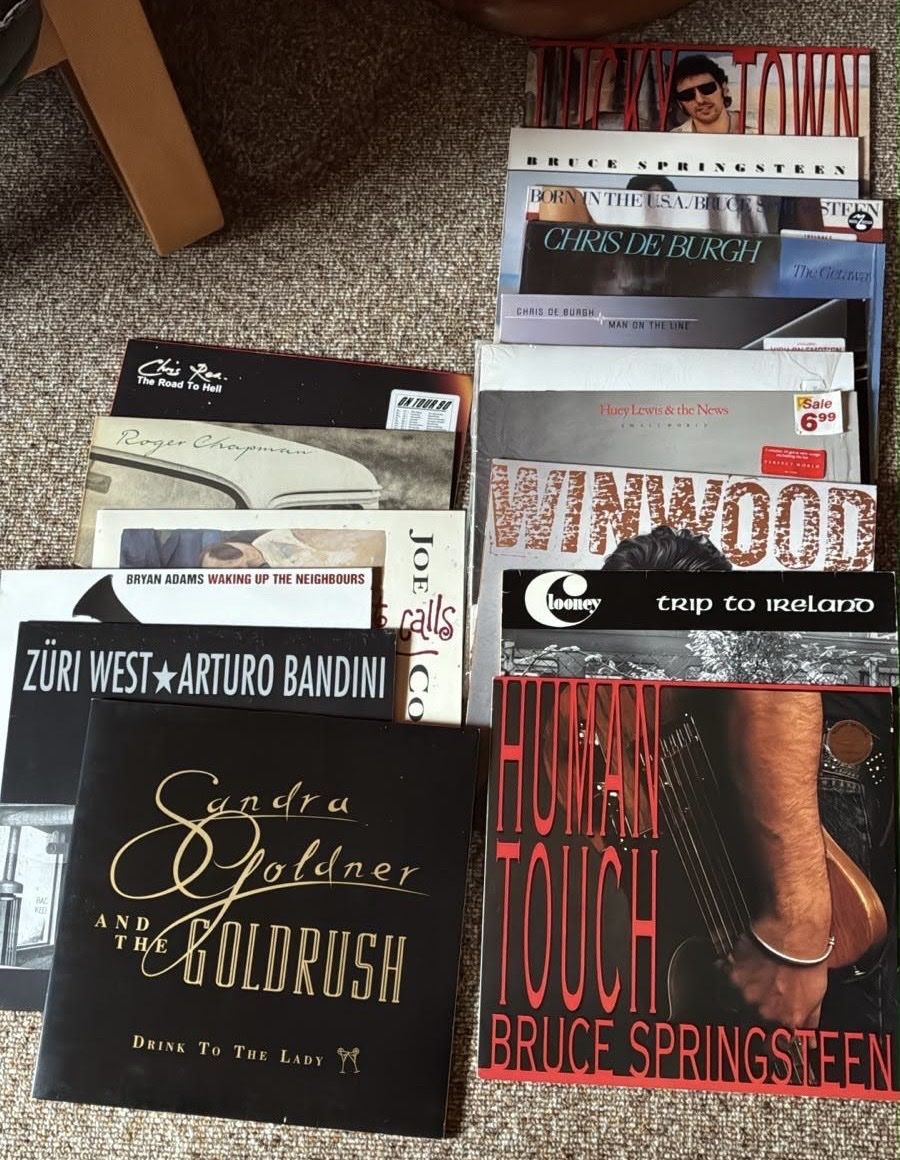 Dischi in vinile: Vinyl Musik Sammlung – Usato da Brütten venduto da Andrea009