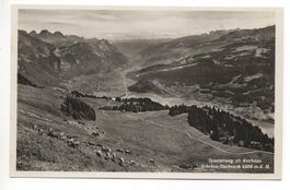 WALENSTADT Spaziergang ob Kurhaus Schrina-Hochruck - Kühe