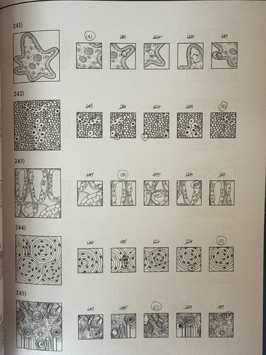 Libri: Numerus Clausus Vorbereitungsbücher – Usato da Zürich venduto da leo_vm8z 5