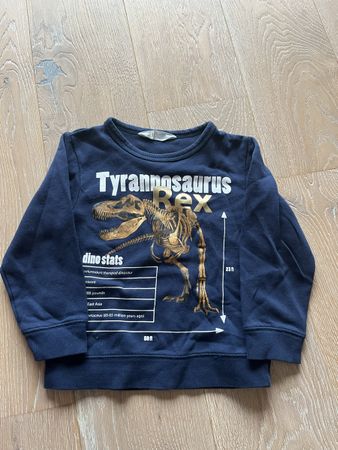 Pullover H&M Grösse 110/116