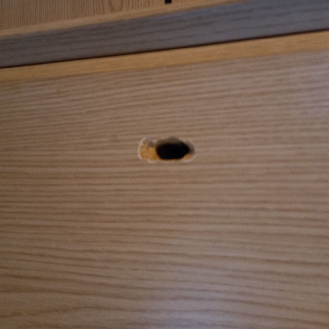 Letti: Schrankbett / Gästebett – Usato da Täuffelen venduto da maniac01 5