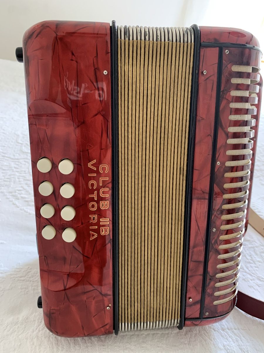 Hohner Strumenti musicali: Diatonische Handorgel Hohner – Usato da Zürich venduto da Olimpied 6