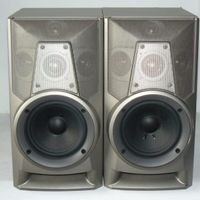 Audio-Lautsprecherboxen SONY-SSW55OG/Paar