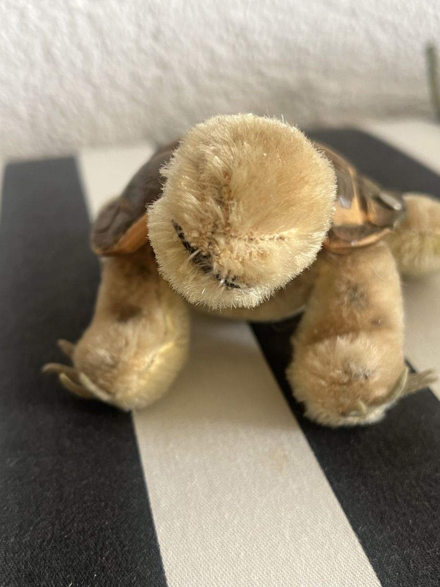 Steiff Spielzeuge: Steiff Schildkröte  in  gutem Zustand – Gebraucht aus Rorschacherberg von Artmaru 1