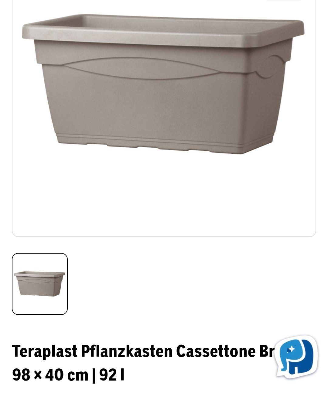 Piante & sementi: Bambus, sehr dicht, 4m hoch – Usato da Winterthur venduto da chi_g85j 2