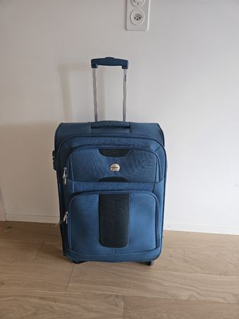 Delsey Suitcase Medium Koffer Mittelgross (64x42x29cm) spinn