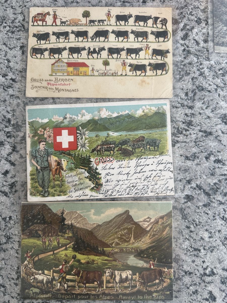 Cartoline postali: Kühe Rinder Alpfahrt Appenzell – Usato da Wettingen venduto da Phibras