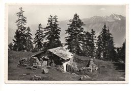 CRANS s/Sierre Vieux Mayen La Bella Tola
