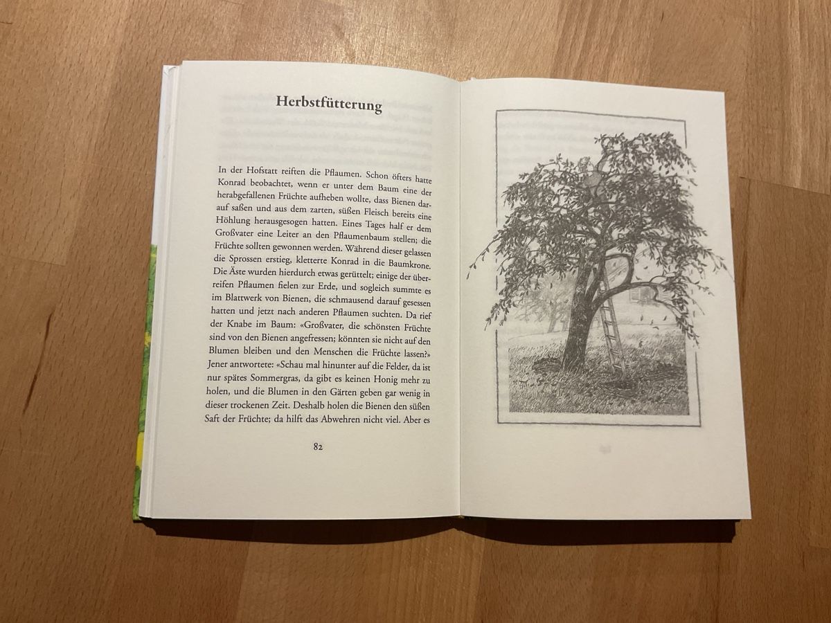 Bücher: Das Bienenbuch Jakob Streit 7+ – Neu (gemäss Beschreibung) aus Wil ZH von RiccardaWegmann 9