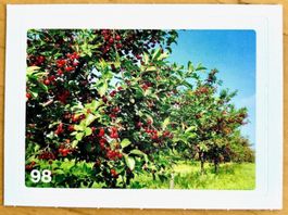 Migros Nature Detectives - Bild Nr. 98