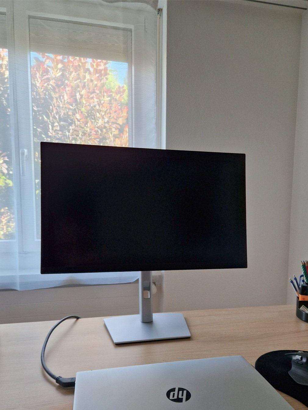 Dell Monitor: DELL P2425D (2560 x 1440) – Usato da Oberglatt ZH venduto da Dean_Busi
