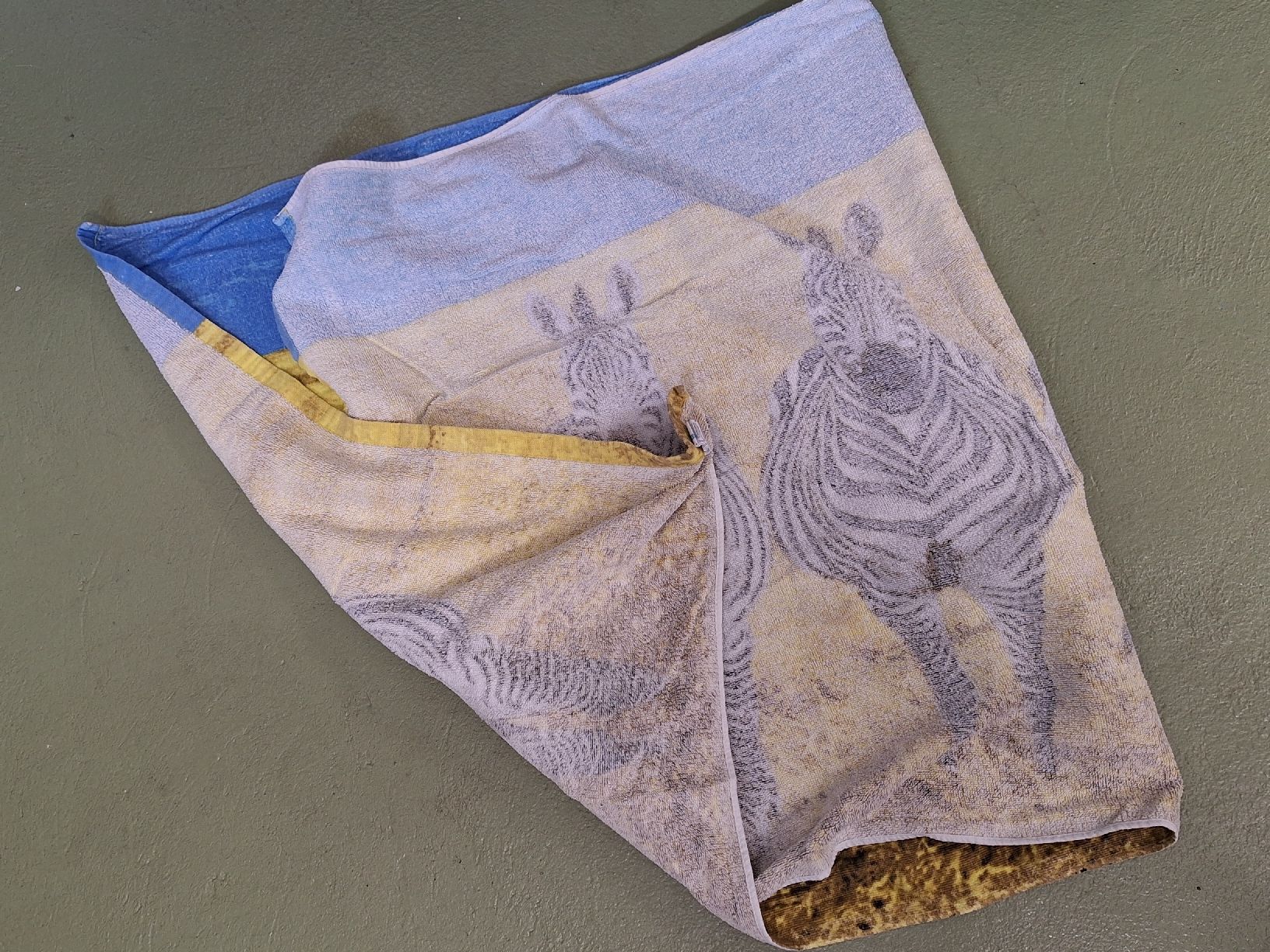 Teli da bagno: Zebra Badetuch – Usato da Niederglatt ZH venduto da Bobsli 2