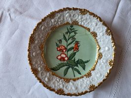 antiker Porzellan Teller Alonsoa grandiflora geflickt