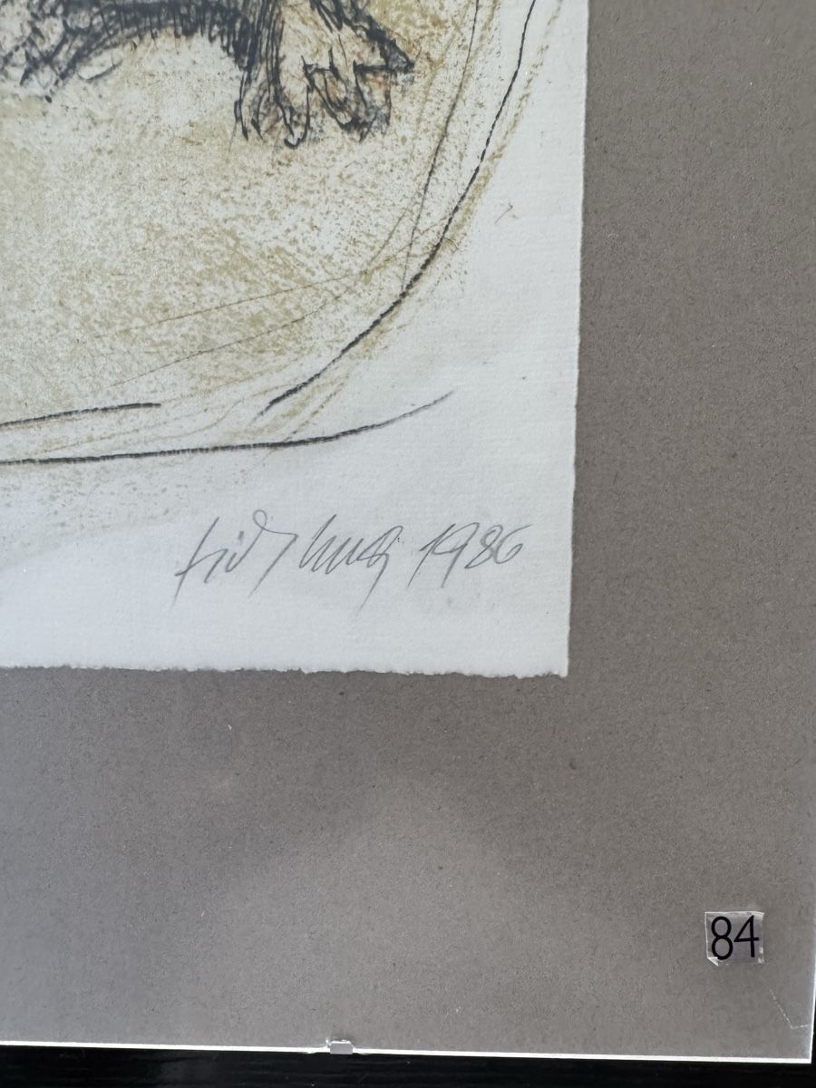 Grafica & Litografie: Fritz Hug Lithogaphie, Igelfamilie – Usato da Safenwil venduto da Corahund 3