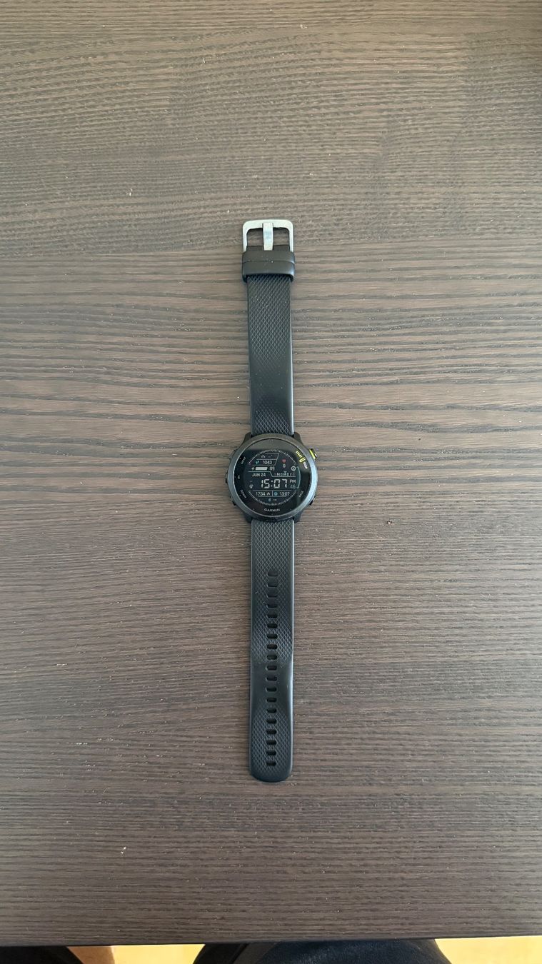 Garmin Smartwatch: Garmin Forerunner 55 Smartwatch – Usato da Feuerthalen venduto da Lasocri 2