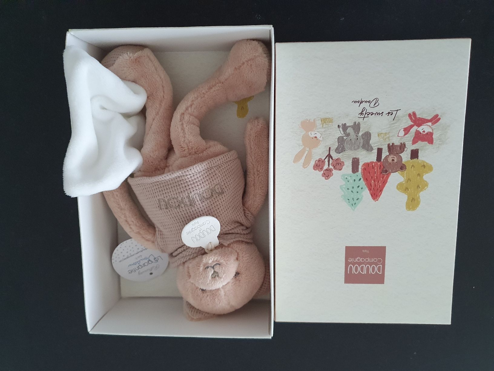 Giocattoli: doudou compagnie- ours peluche neuf – Nuovo e nell'imballaggio originale da Neuchâtel venduto da viv_zf9x