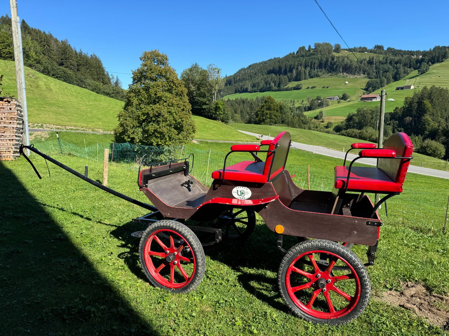 Calèches: Elegante Sawa Kutsche (ein- oder zweispannig) – D'occasion à Bühler par Kobima 1