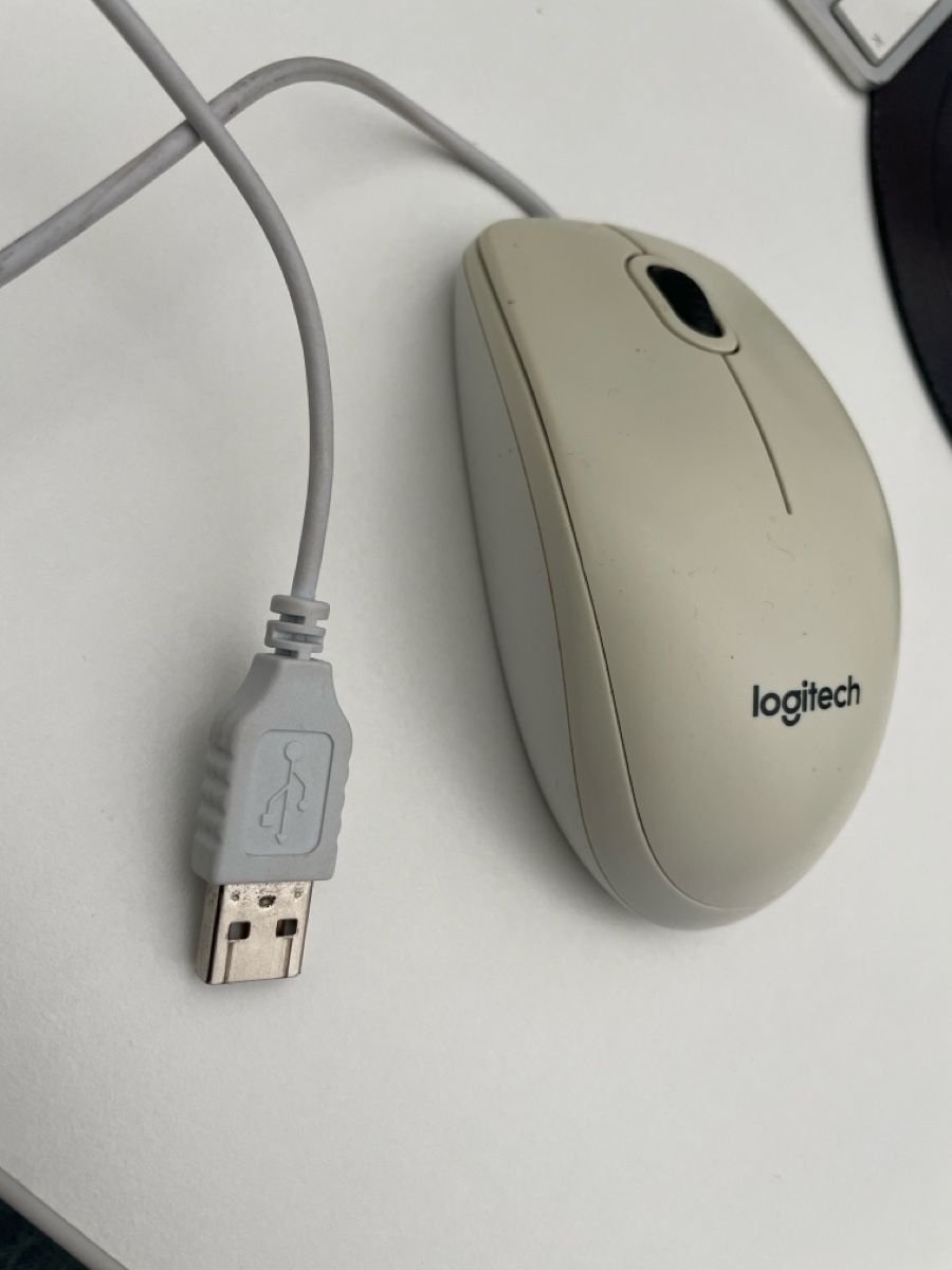 Logitech Mouse: Mouse Logitech USB Cavo Grigio Usato – Usato da Wallisellen venduto da romy_san 1