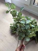 10 stk künstliches Eukalyptus 60cm