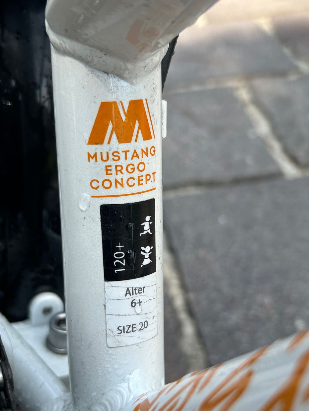 Vélos: Kindervelo – D'occasion à Buchrain par Inchpincher 2