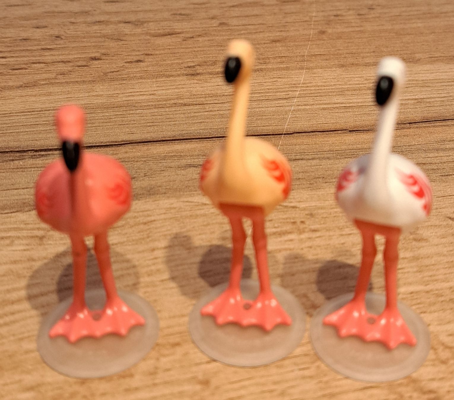 Playmobil Spielzeuge: Playmobil Flamingos – Gebraucht aus Thörigen von leo_55vw