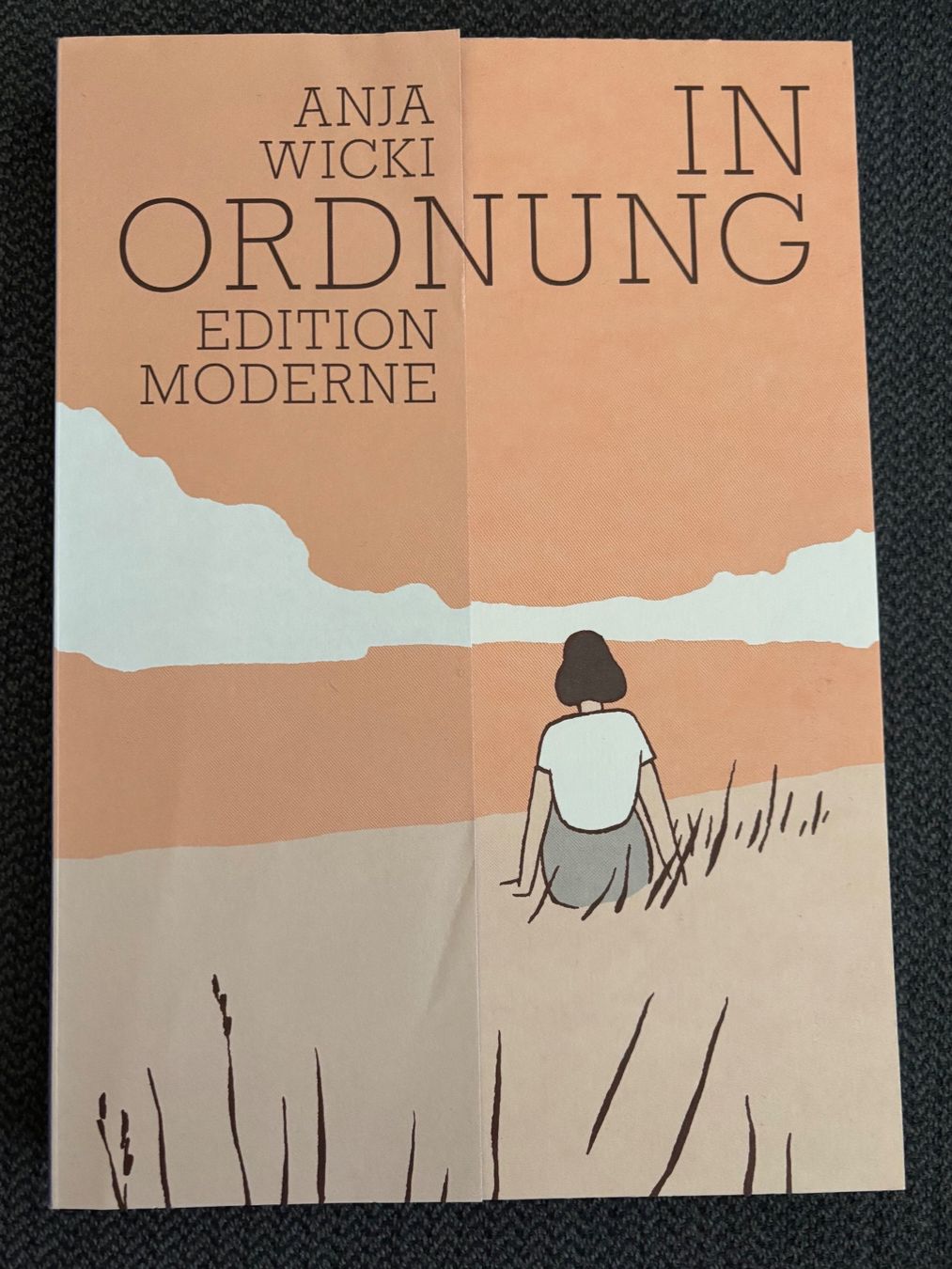 Libri: Bücherpaket: Graphic Novels – Usato da Winterthur venduto da molamuna 4
