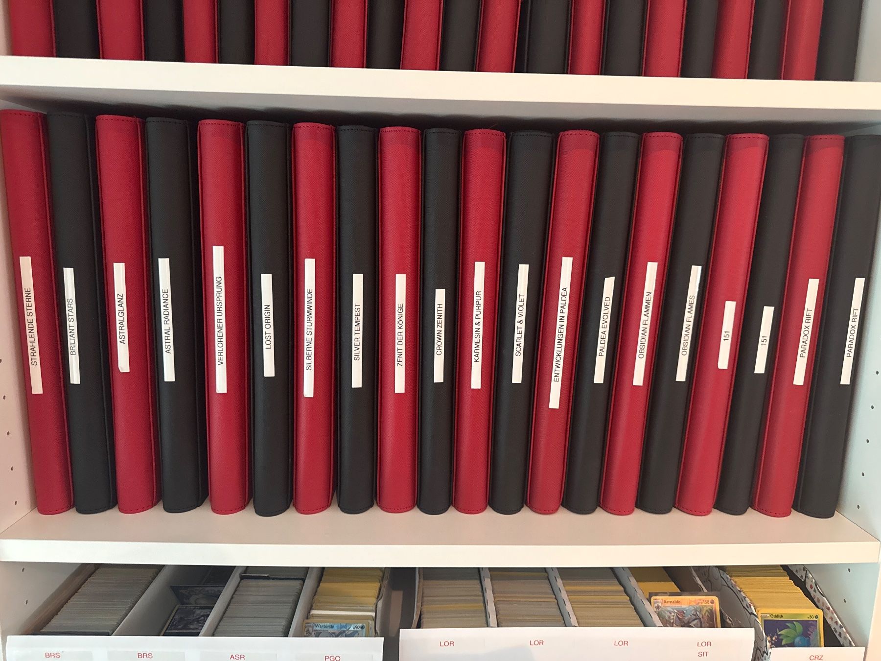 Pokémon Carte collezionabili: Pokemon Sammlung – Usato da Bern venduto da MAE85 5