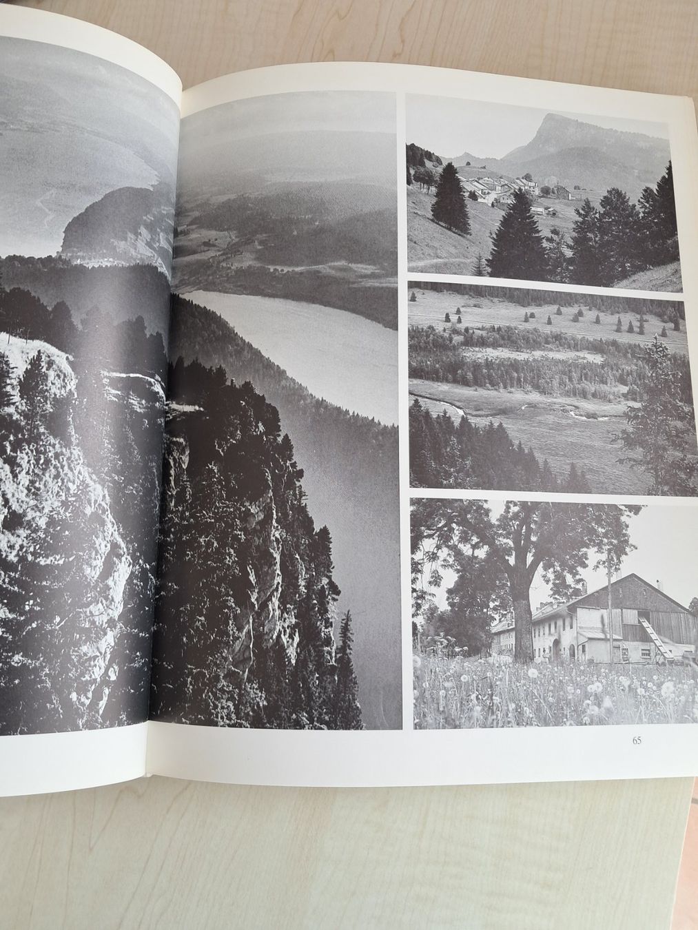 Libri: Livre notre jura – Usato da moutier venduto da Dupont50 5