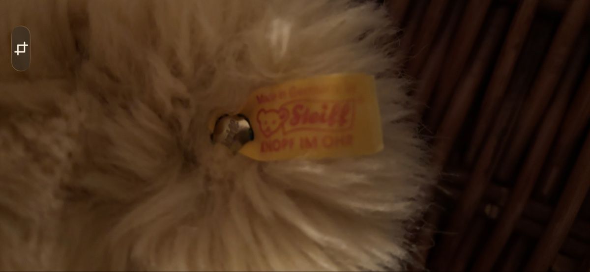 Steiff Jouets: Steiff Bär – D'occasion à Luzern par Giuly2010 1